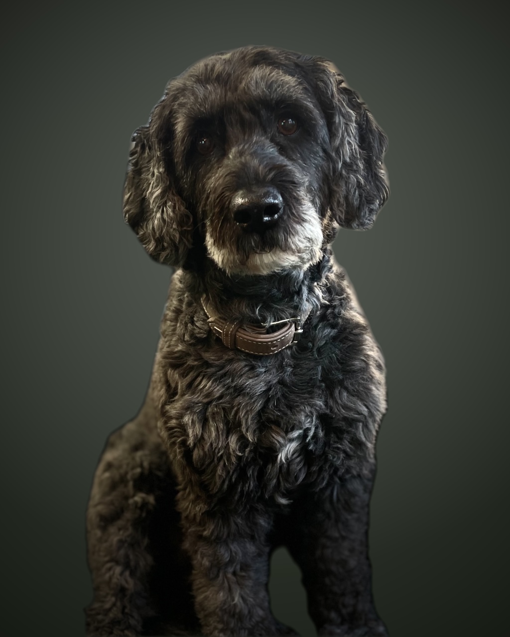 Ronja